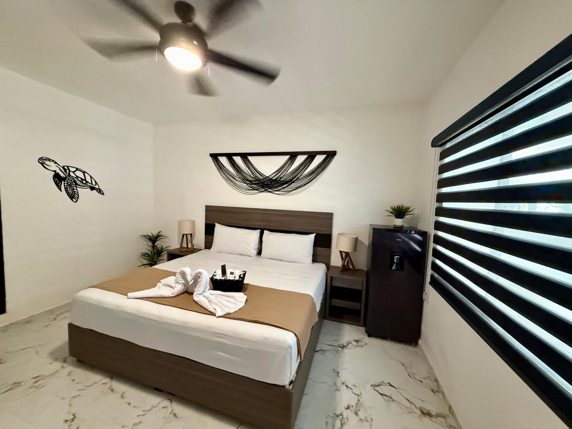 Estudio con cama extragrande